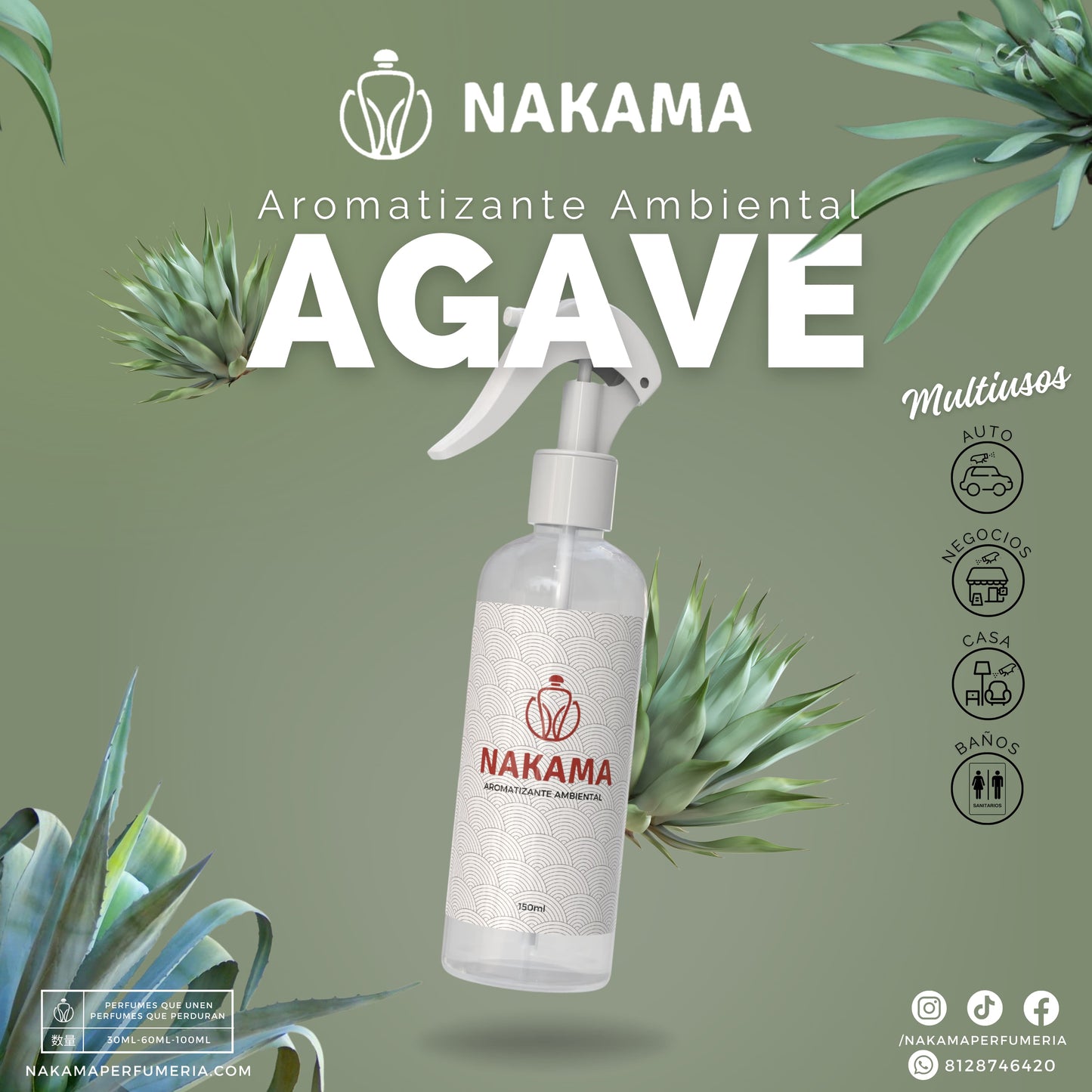 AA022 AGAVE