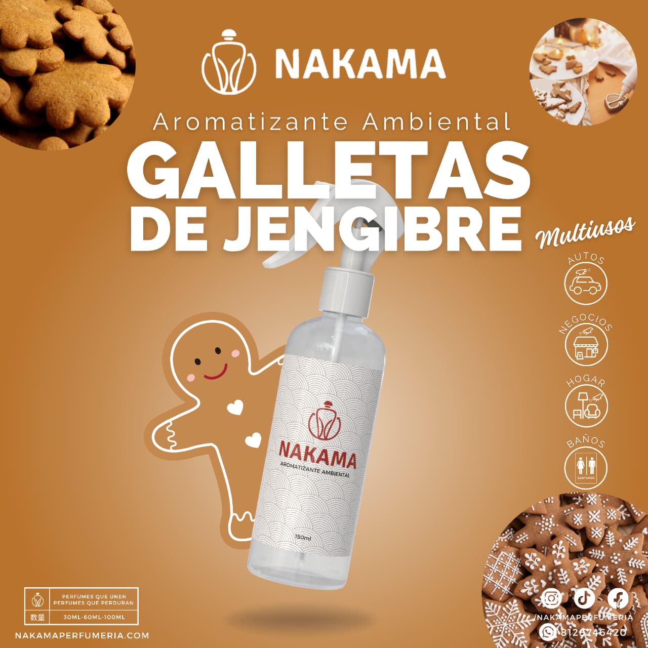 AA090 GALLETA DE JENGIBRE