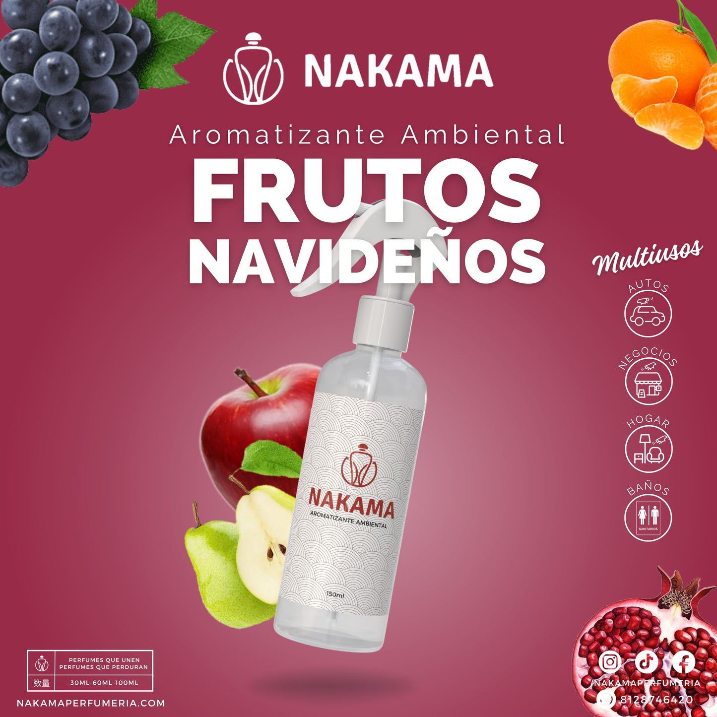 AA087 FRUTOS NAVIDEÑOS