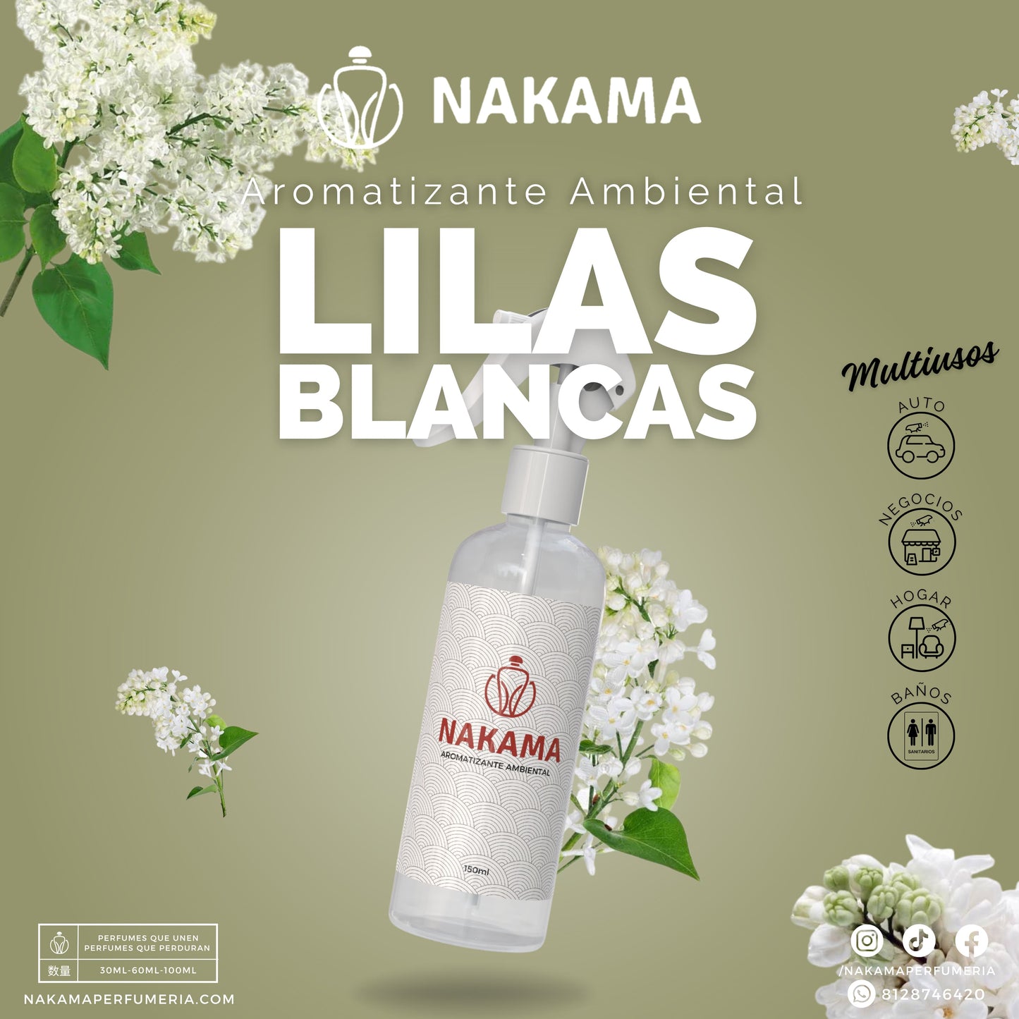 AA024 LILAS BLANCAS