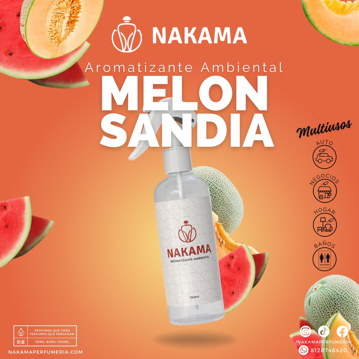 AA067 MELON SANDIA