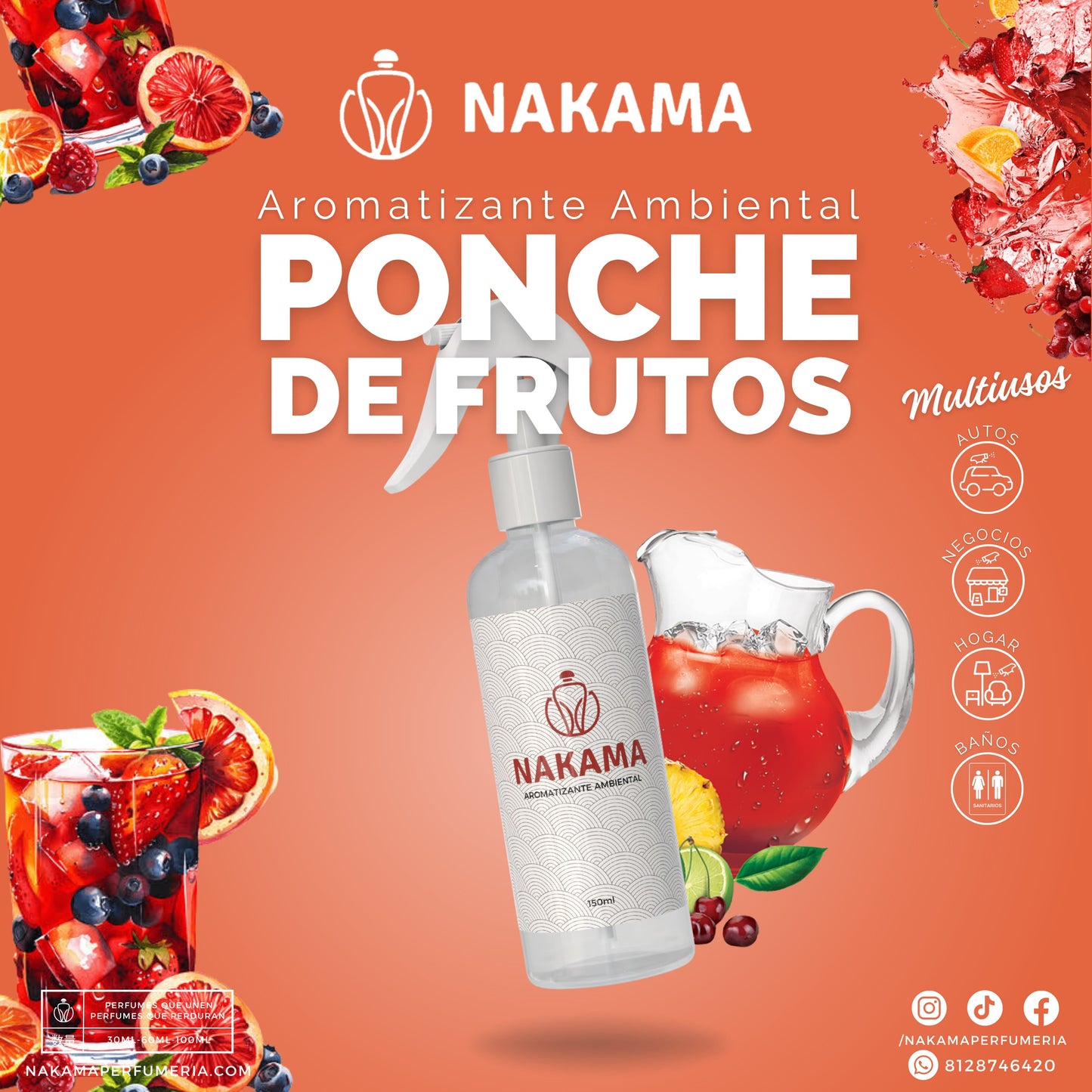 AA077 PONCHE DE FRUTOS