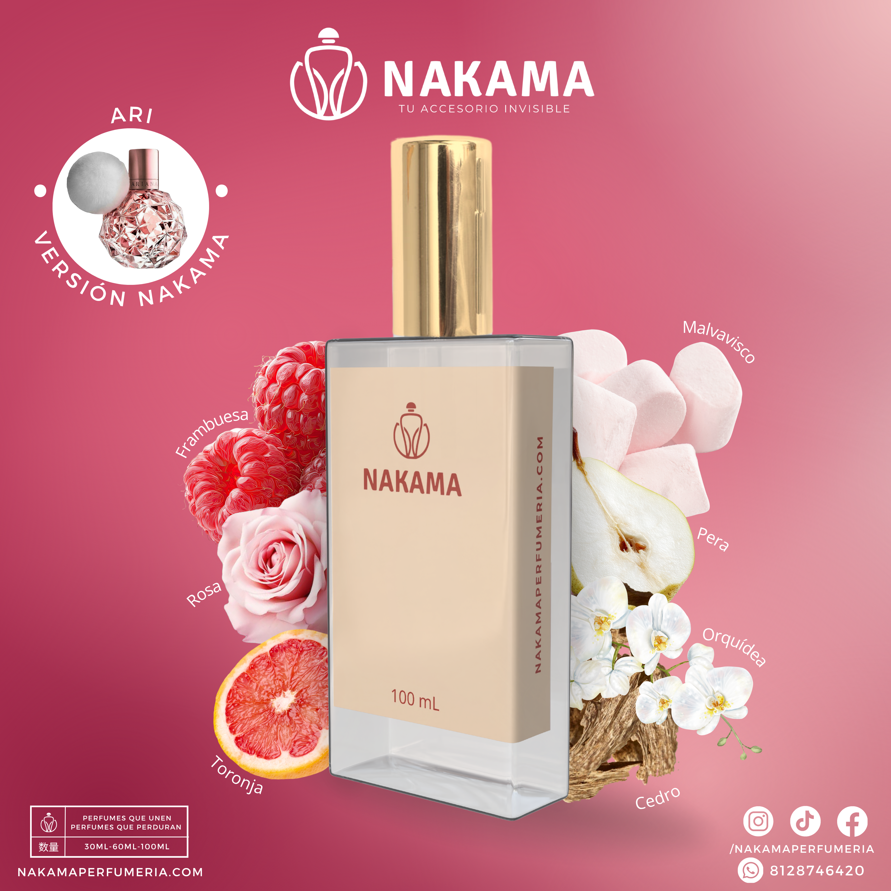 NF144 ARI - ARIANA GDE - DAMA