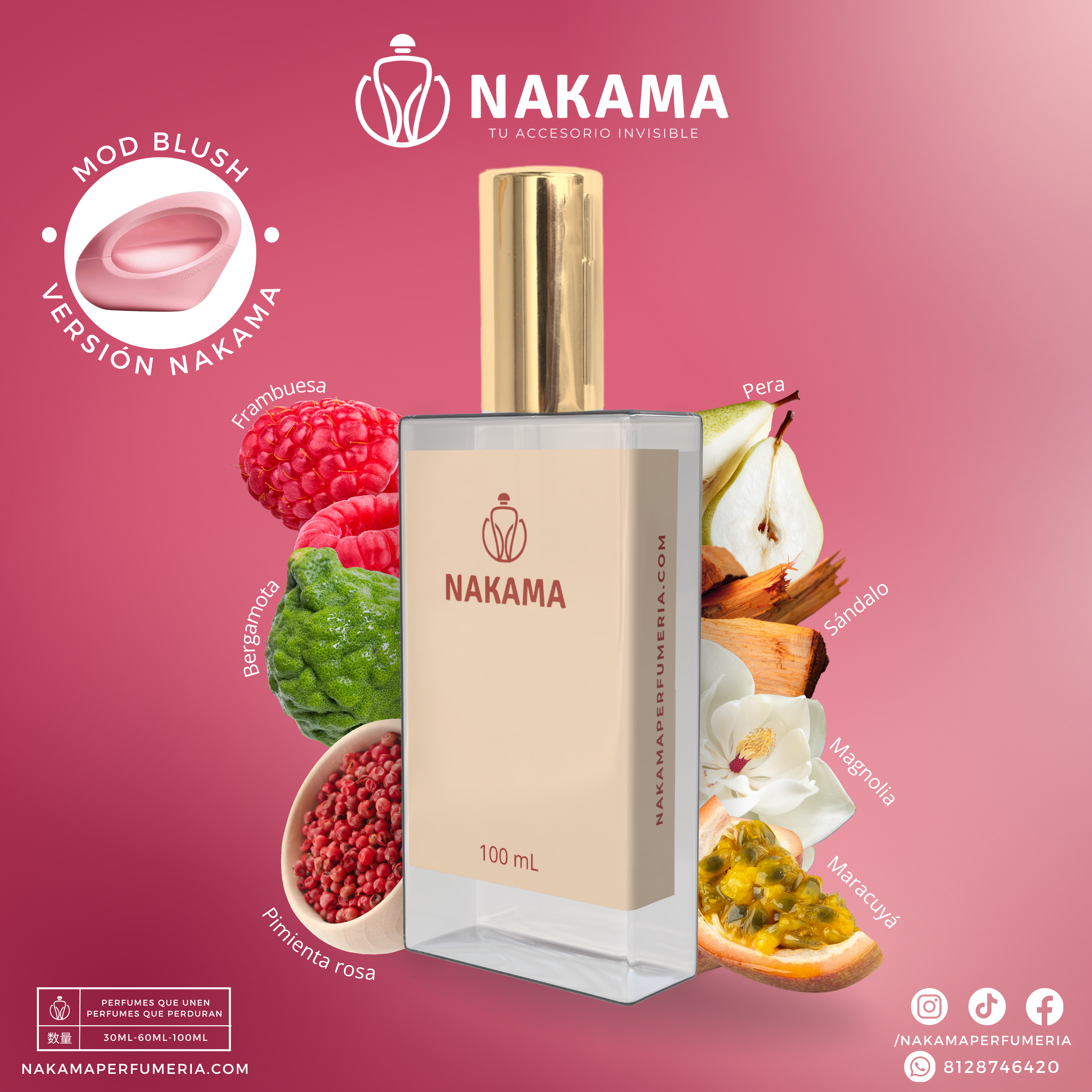 NF301 MOD BLUSH - ARIANA GDE - DAMA