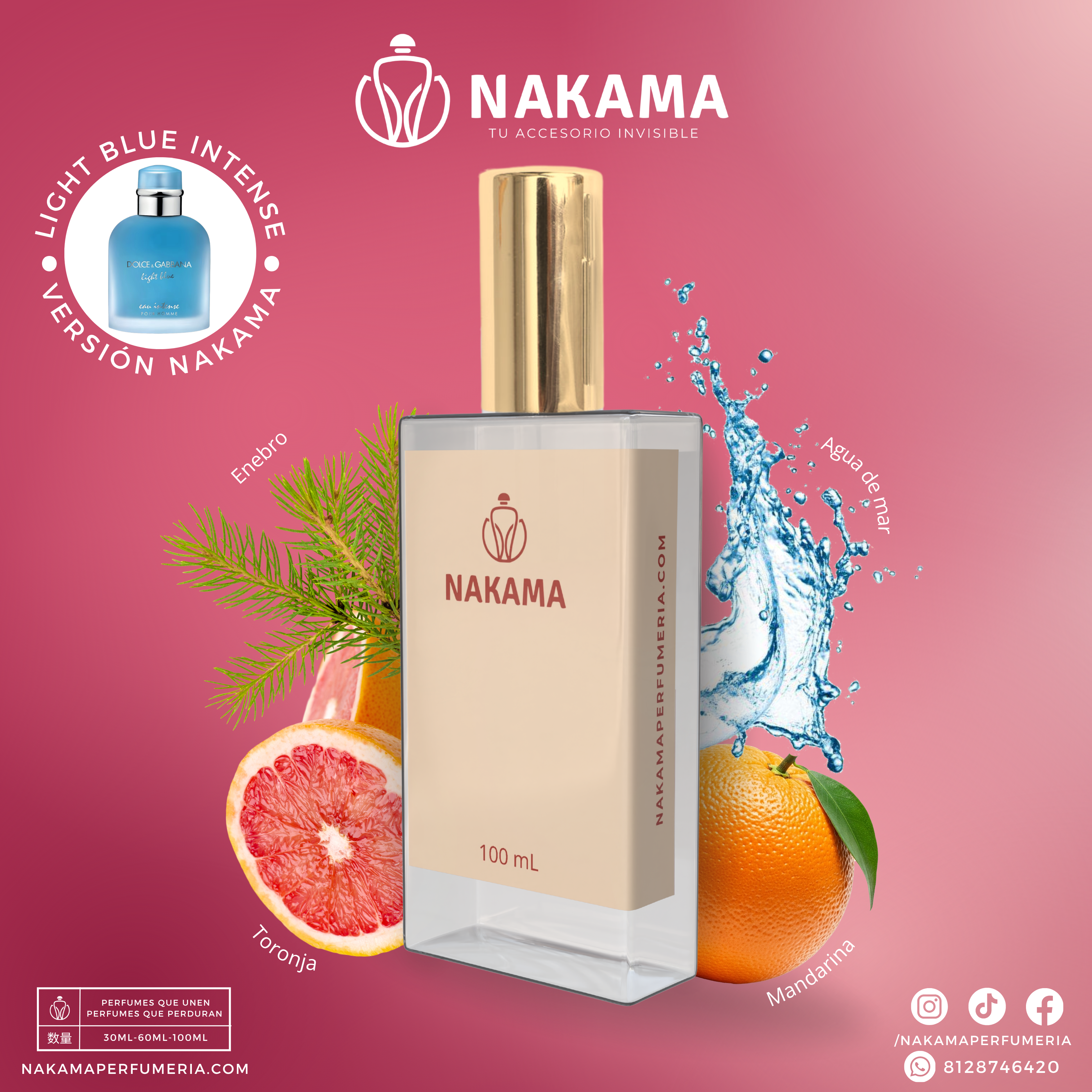 NF488 LIGHT BLUE EAU INTENSE - DOLCE & GABBANA - DAMA
