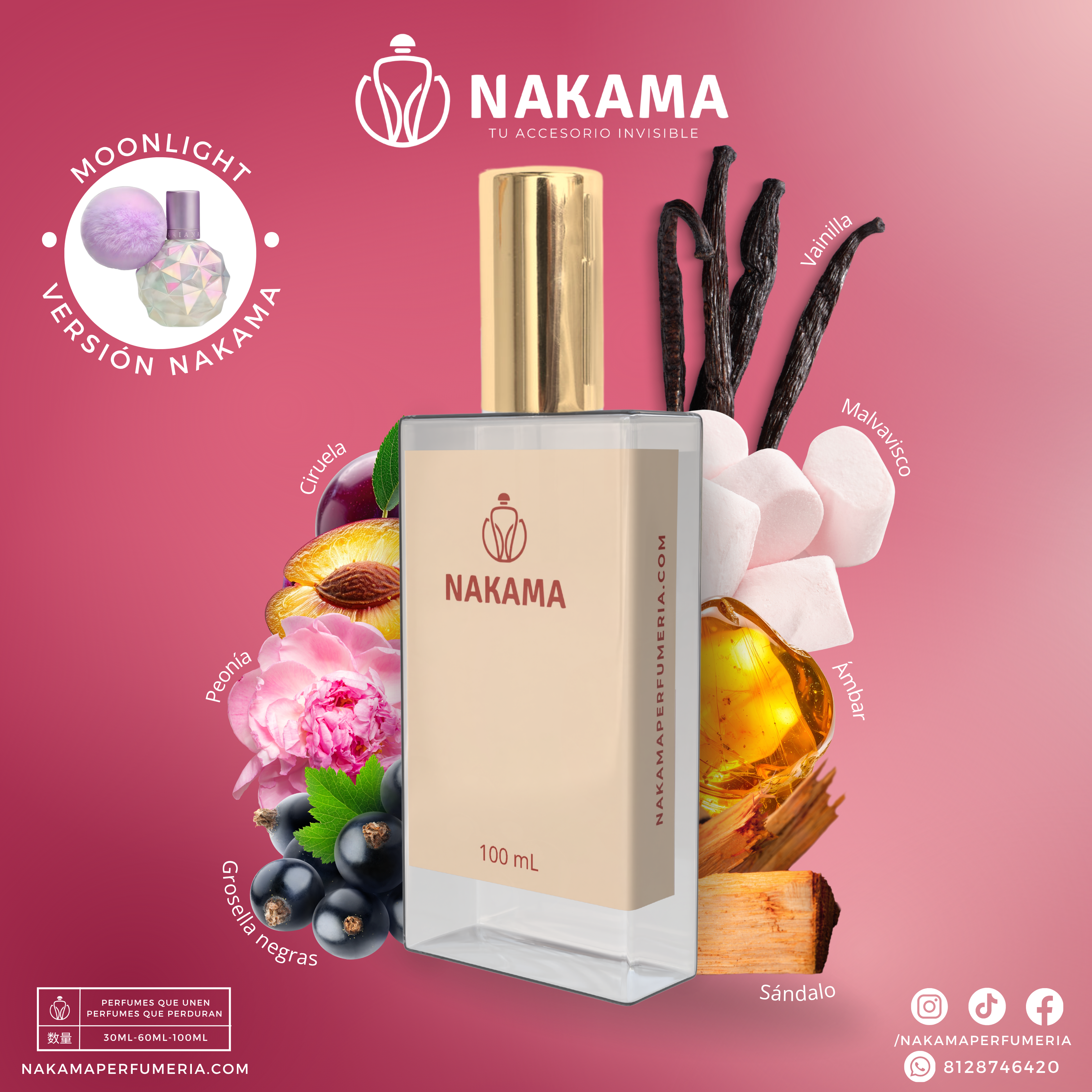 NF305 MOONLIGHT - ARIANA GDE - DAMA