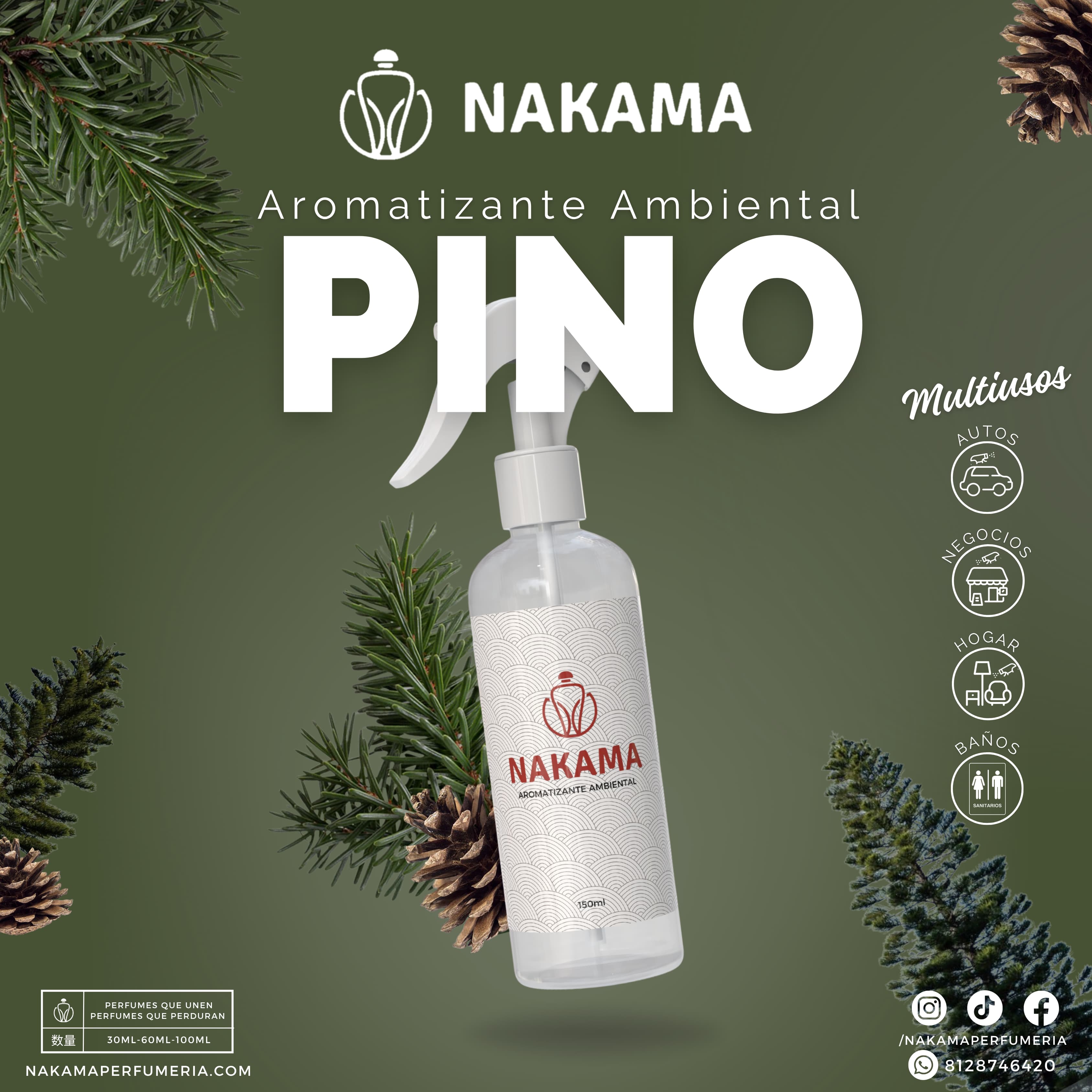 AA008 PINO