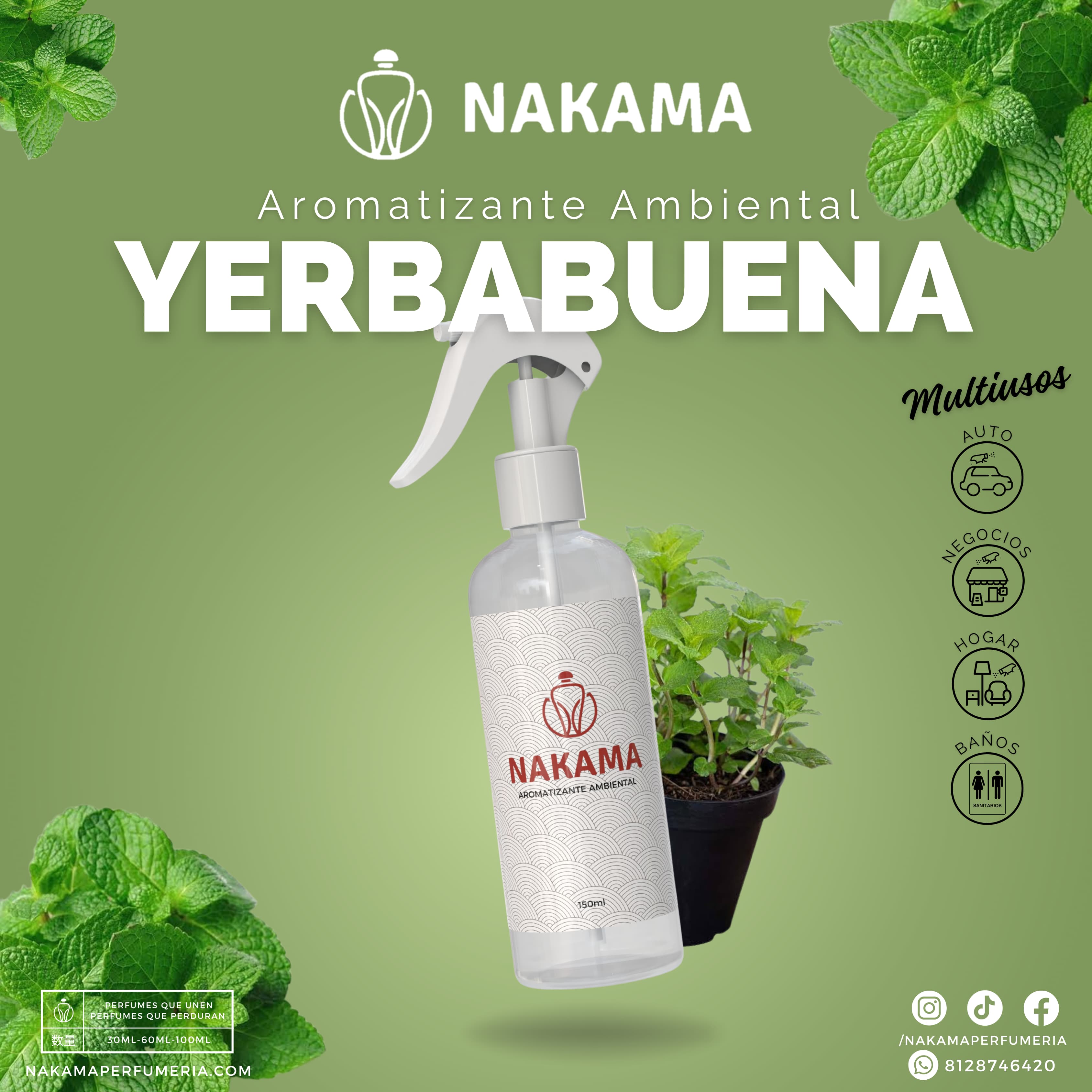 AA013 YERBABUENA