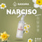 AA018 NARCISO