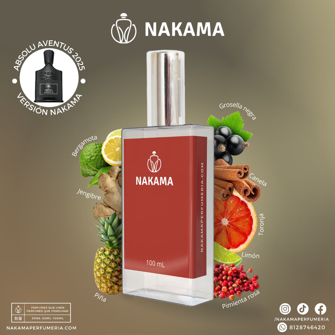 NCH737 ABSOLU AVENTUS 2025 - CREED - CABALLERO