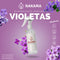 AA031 VIOLETAS