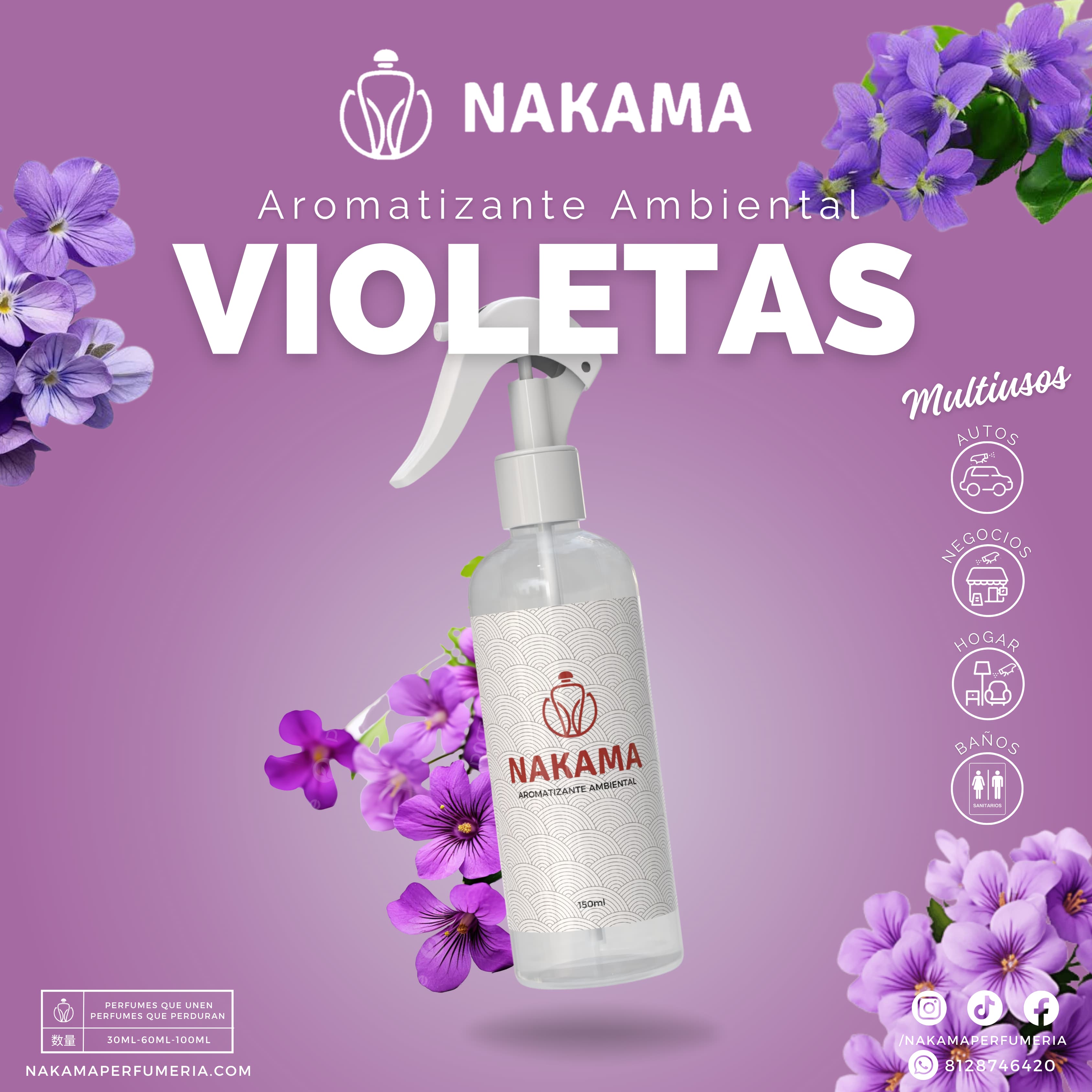 AA031 VIOLETAS