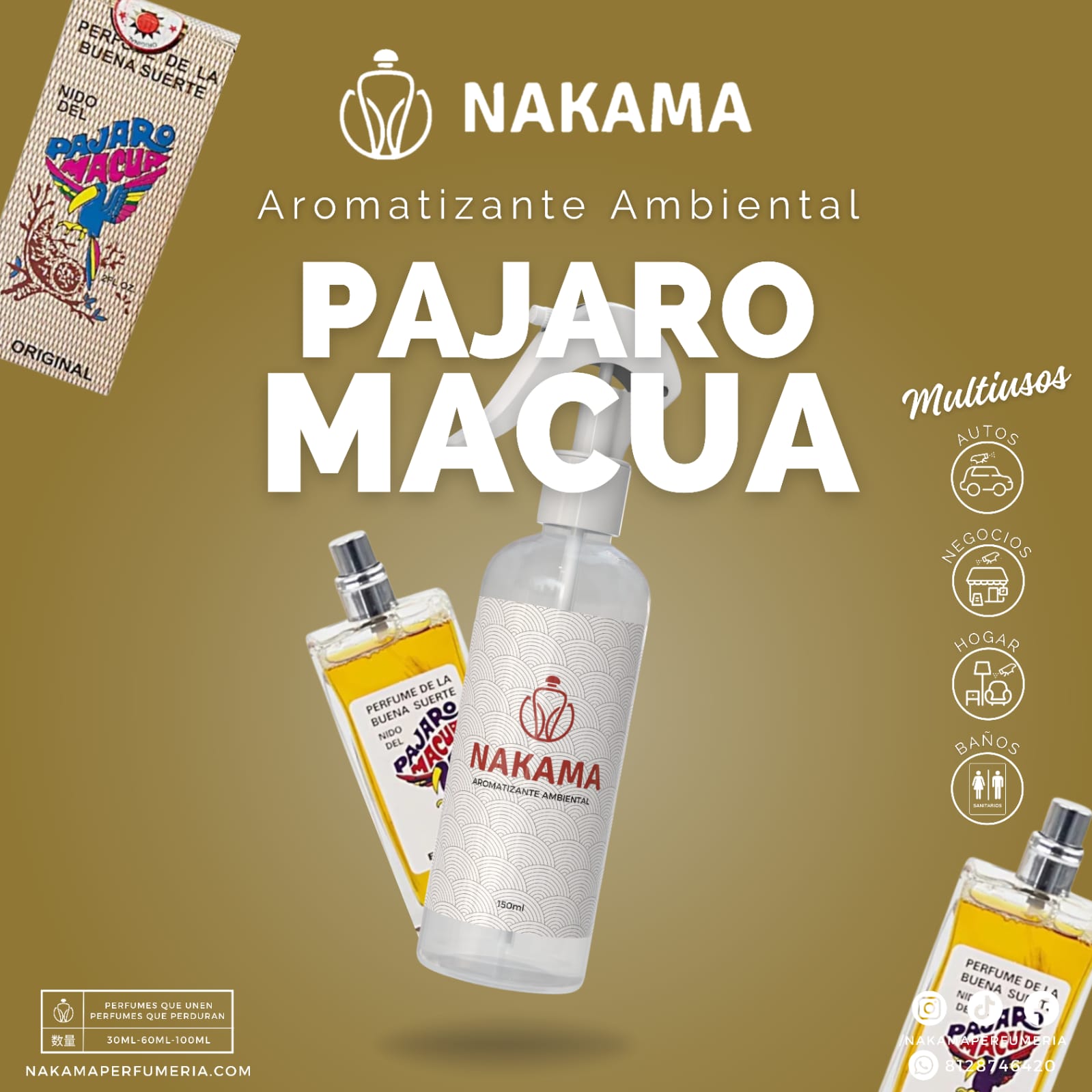 AA094 PAJARO MACUA